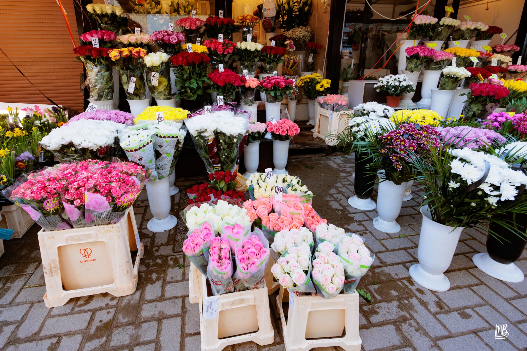 2024   Riga   MB 250